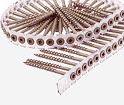 collated screws